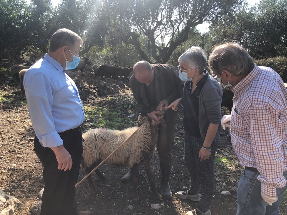 Ο αντιπεριφερειάρχης Μεσσηνίας Στ. Αναστασόπουλος για τη διαχείριση κρουσμάτων καταρροϊκού πυρετού του προβάτου