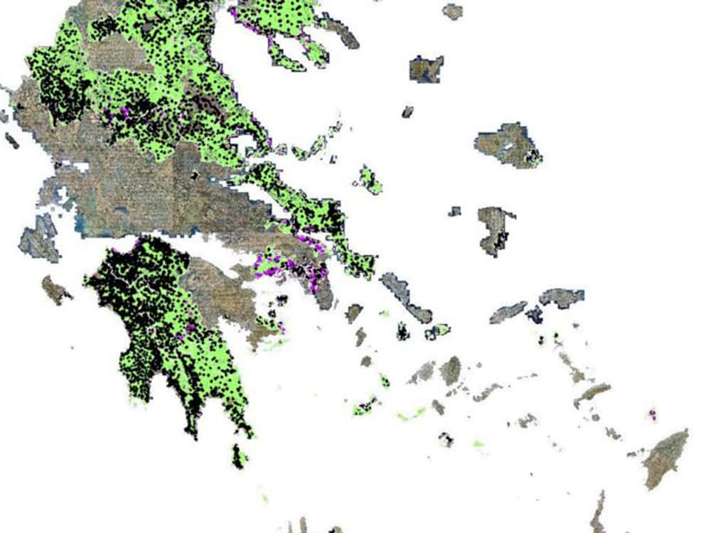 dasikoargolida