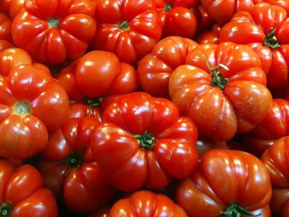 tomatarytidosi