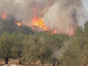 Μάχη με τις φλόγες στο Αραχναίο Αργολίδας και στη Νέα Αλμυρή Κορινθίας