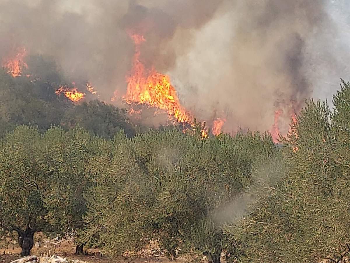 araxnaio εικόνα Viber 2021 07 25 17 38 50 092 1