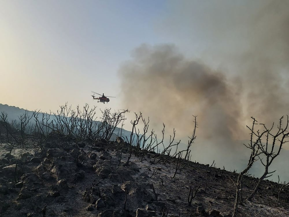 pyrkavasilitsi εικόνα Viber 2021 08 02 20 01 37 634