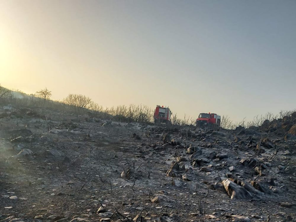 aitiseis mani pyroplikta pyrkavasilitsi εικόνα Viber 2021 08 02 20 01 37 448
