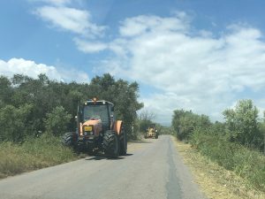 Καθαρισμός αυτοφυούς βλάστησης στην επαρχιακή οδό Μεσσήνης - Μελιγαλά από την Π.Ε. Μεσσηνίας