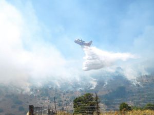 Μάχη με τις φλόγες στην Λάγια του Δήμου Ανατολικής Μάνης