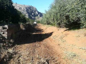 Καθαρισμός στο ρέμα της Νέας Τίρυνθας