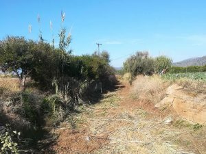 Συνεχίζονται οι καθαρισμοί ρεμάτων από την Π.Ε. Αργολίδας