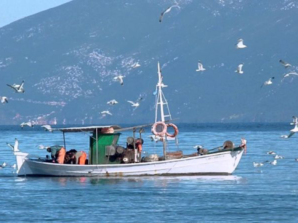 Χρηματική αποζημίωση στον τομέα της αλιείας και της υδατοκαλλιέργειας