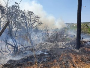 Πυρκαγιά στο Δερβένι του Δήμου Ξυλοκάστρου – Ευρωστίνης