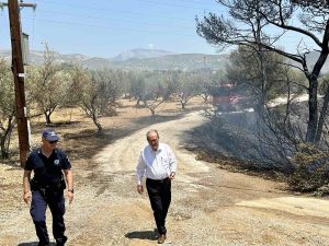 Ξεκινούν άμεσα οι καταγραφές από την Περιφέρεια των ζημιών από την πυρκαγιά στον Δήμο Λουτρακίου – Περαχώρας – Αγίων Θεοδώρων, στην Κορινθία ο περιφερειάρχης Πελοποννήσου Π. Νίκας