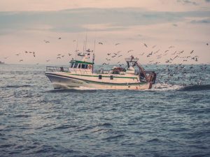 Η τοπική στρατηγική για την αλιεία, τη θάλασσα και την υδατοκαλλιέργεια στην αλιευτική ζώνη Νήσων Αττικής και Νοτιοανατολικής Πελοποννήσου