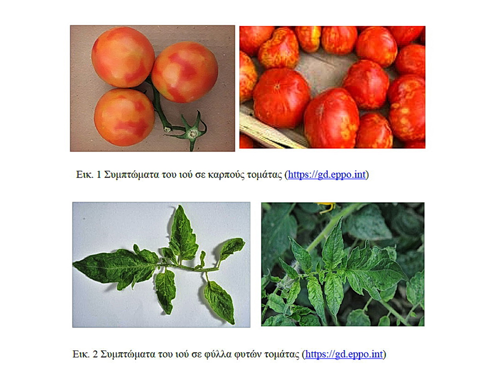 https://www.minagric.gr/for-farmer-2/crop-production/fytoprostasiamenu/fytoygeia
