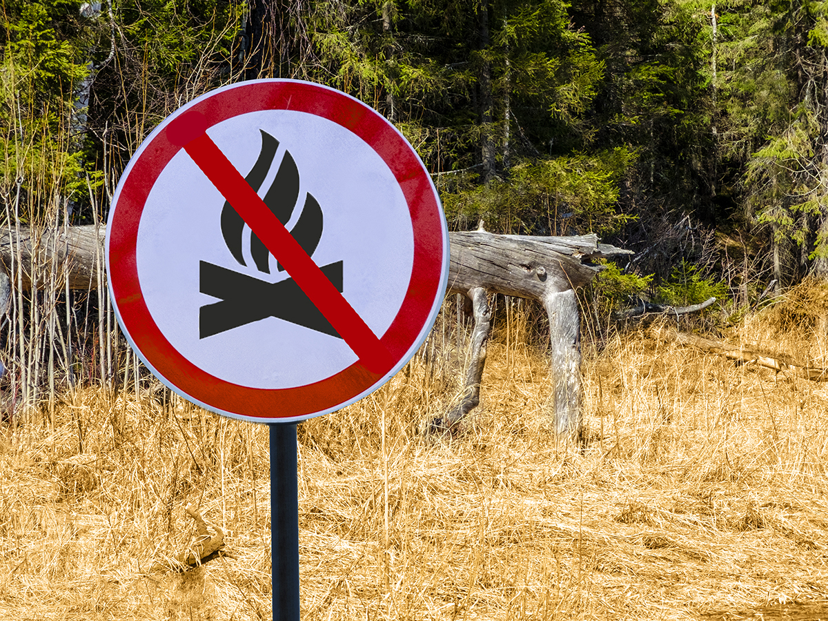 Αντιπυρική περίοδος και απαγορεύσεις σύμφωνα με τον «Χάρτη Πρόβλεψης Κινδύνου Πυρκαγιάς» – Περιφέρεια Πελοποννήσου
