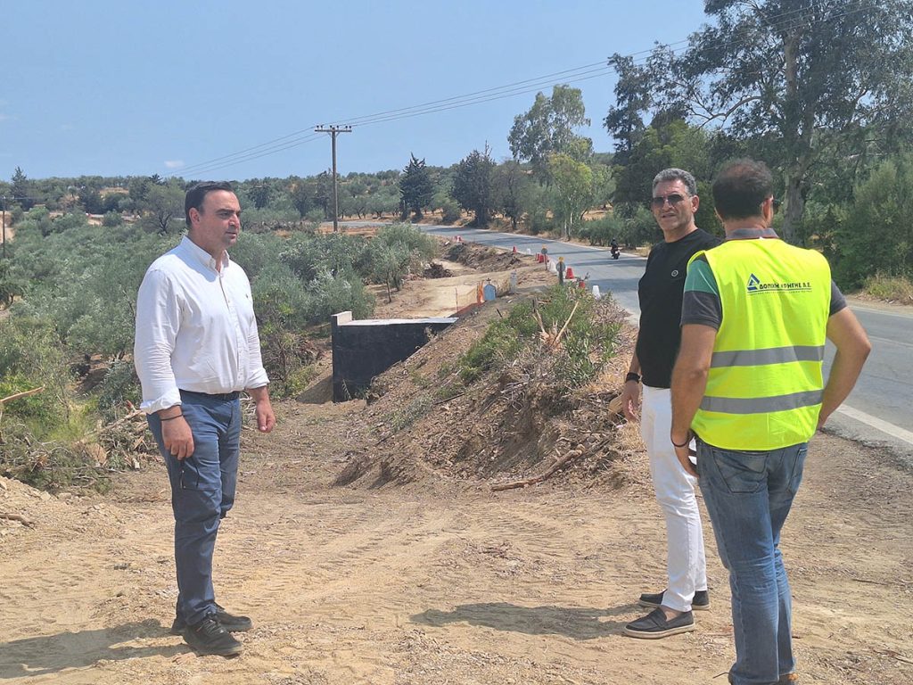 aytopsia verouti ergo odikis asfaleias apidia molaous 2772024 1