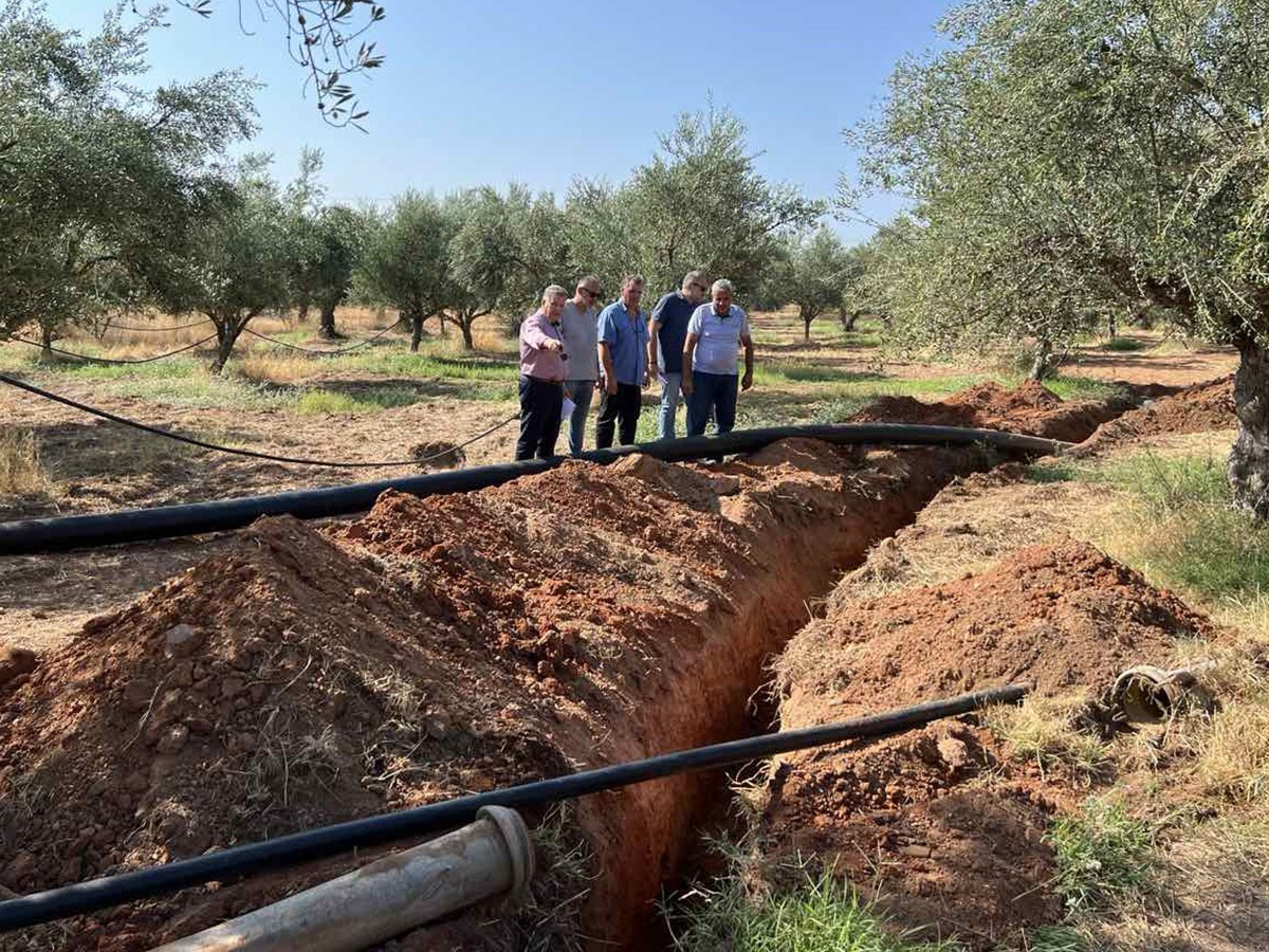ΑΓΡΙΛΟΒΟΥΝΟ