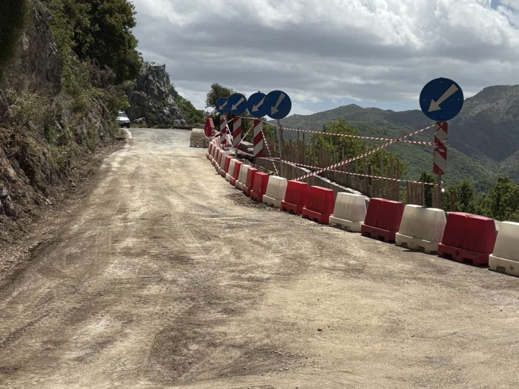 Αποκαταστάθηκε η κυκλοφορία στην Ε.Ο. Τρίπολης – Πύργου στην περιοχή Λαγκαδίων