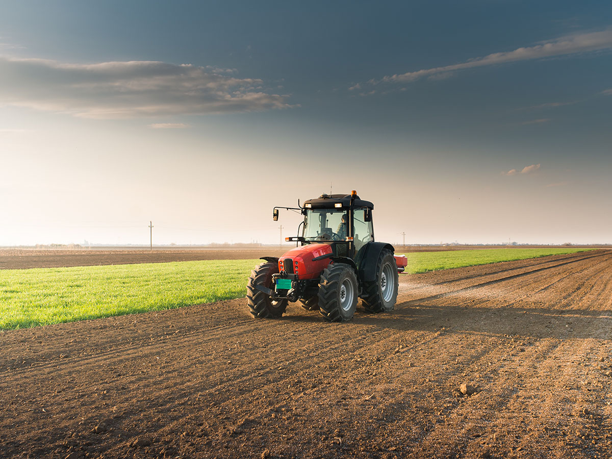 Tractor spreading artificial fertilizers in field