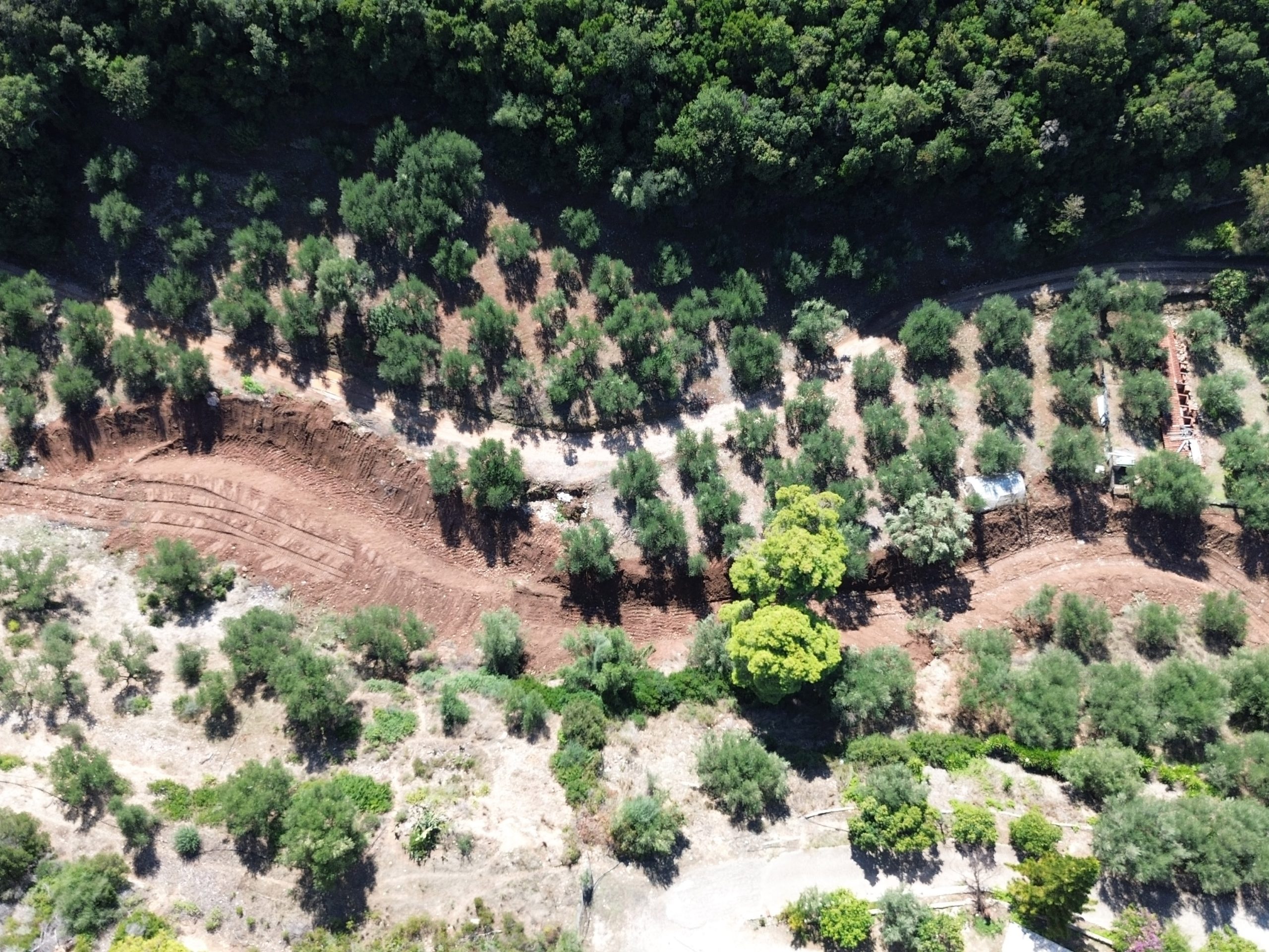 DCIM100MEDIADJI 0034.JPG - DCIM100MEDIADJI 0034.JPG