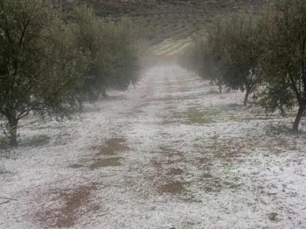 Χαλαζόπτωση | Κλιμάκια του ΕΛΓΑ στις πληγείσες περιοχές μετά από πρωτοβουλία της Περιφέρειας Πελοποννήσου