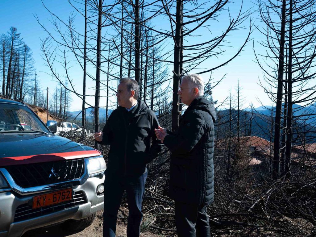 viber image 2025 12 01 15 38 11 480