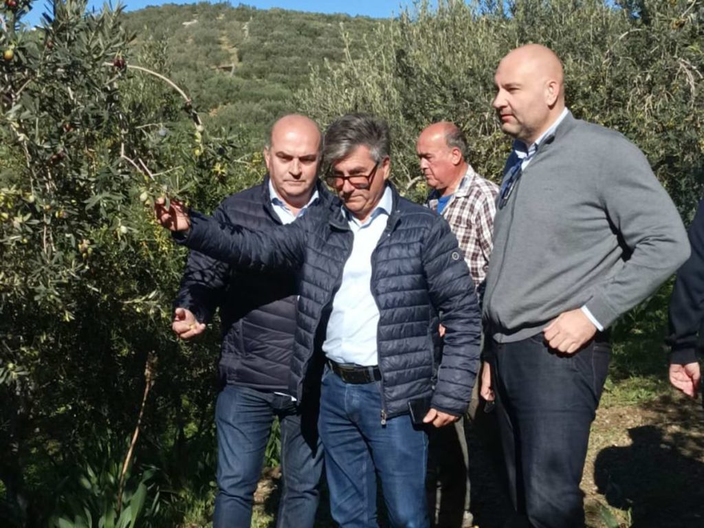 viber image 2025 12 01 18 56 09 039