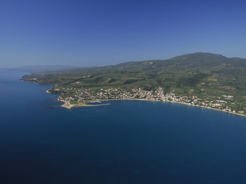 PETALIDI
