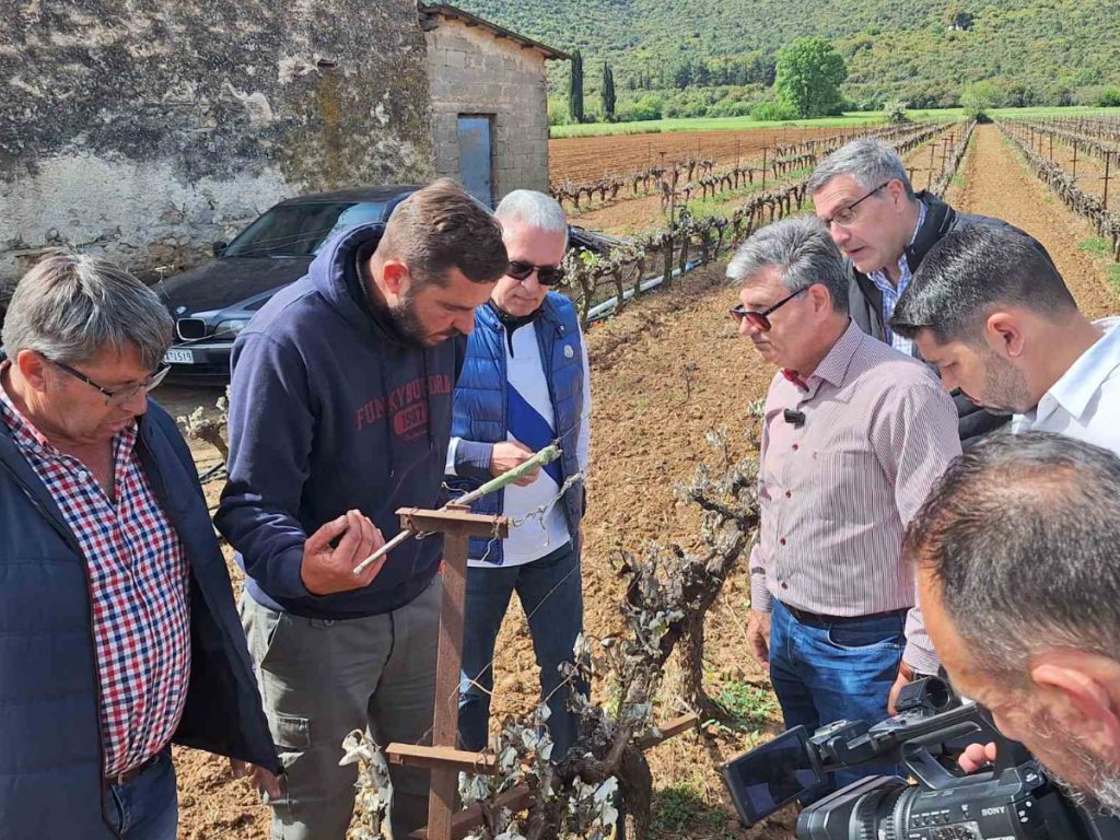 Κλιμάκιο της Περιφέρειας Πελοποννήσου και του ΕΛΓΑ στις πληγείσες αγροτικές περιοχές της Αρκαδίας Μάιος 2026 4