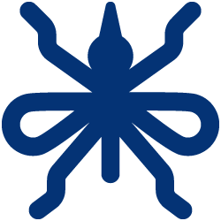 mosquito