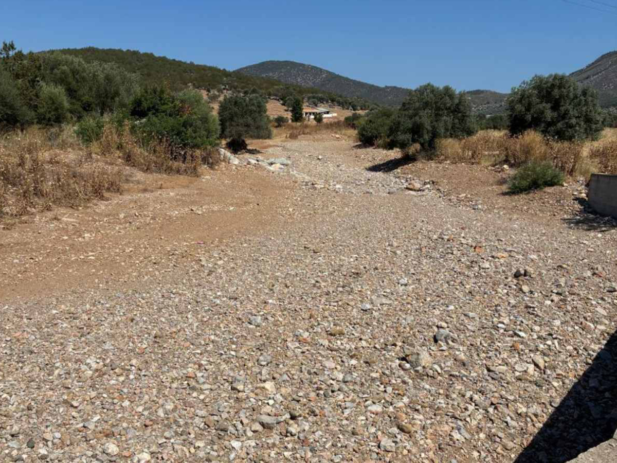 katharisnoi argolida 5